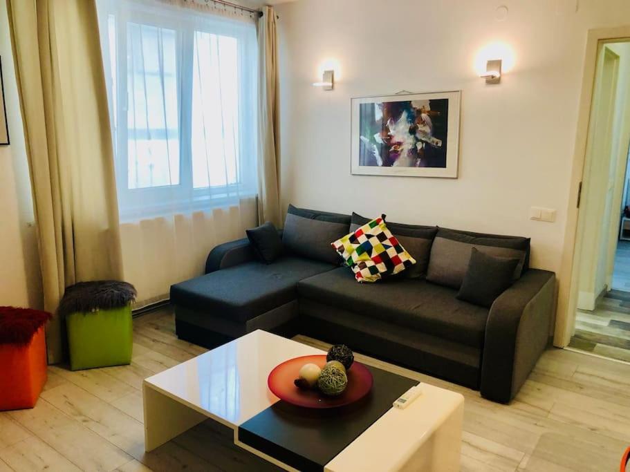 Joy City Stay Colonel Enescu 16 Timişoara Eksteriør billede